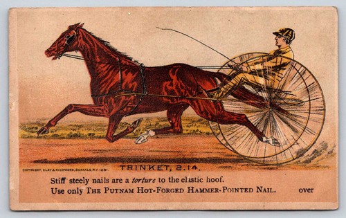 1881 putnam nail harness - putnam,