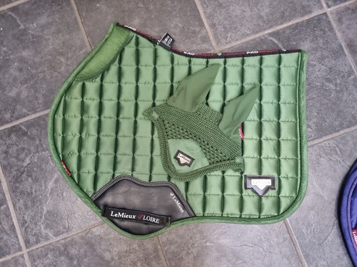 Lemieux hunter green loire - green, set
