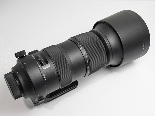 Sigma sports 600mm - sports, 60-600mm