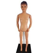 Pedigree Sindy Boyfriend Paul