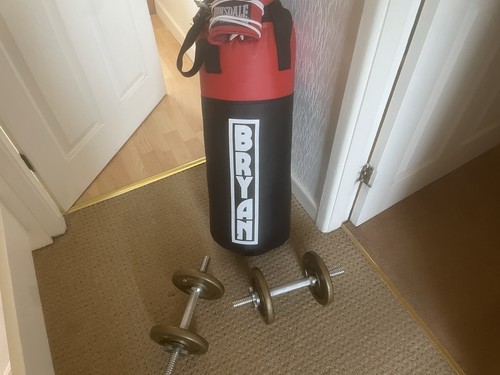 Bryan hanging punchbag - hanging, kit