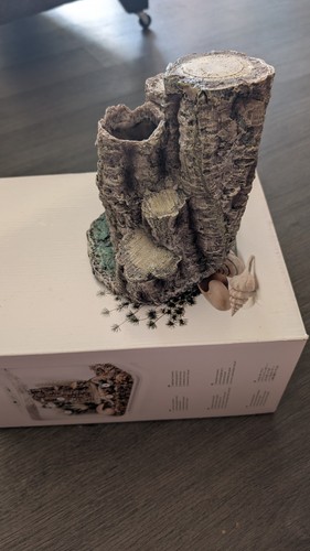 Biorb silver birch - biorb,
