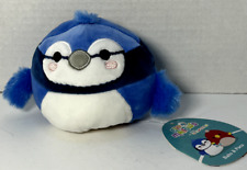 Babs Blue Jay/ Paco Parrot