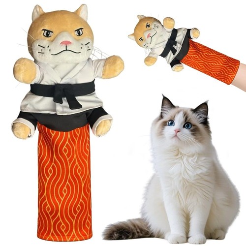 Karate kitty cat - karate,