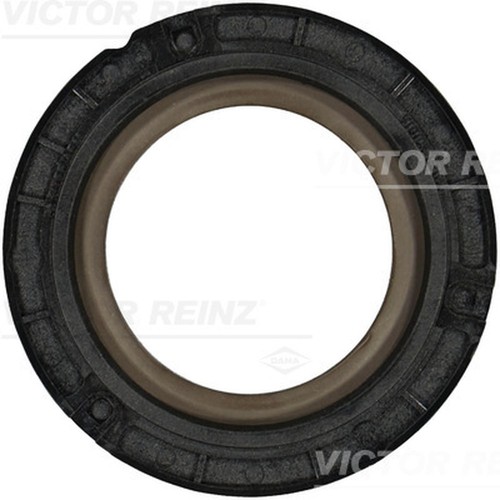Reinz 10672 shaft grease - shaft,