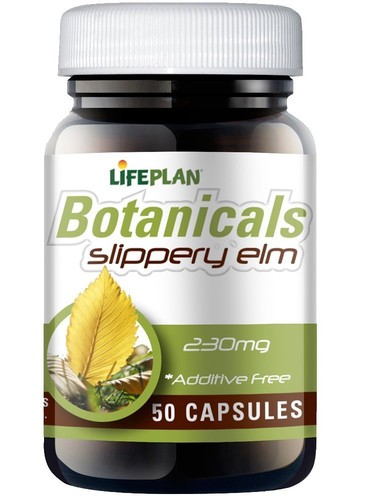 Lifeplan slippery elm 230mg - lifeplan,