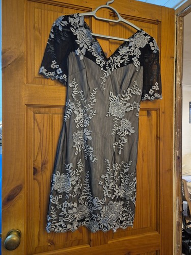 Stunning karen millen lined - stunning,
