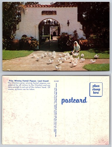 Prize winning fantail pigeons - prize,