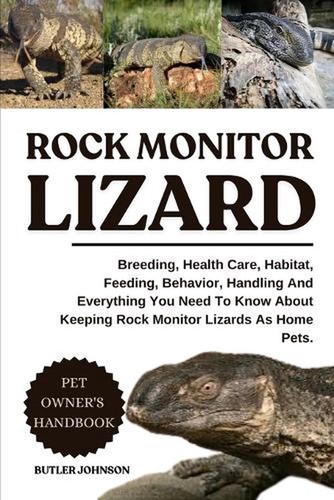 Rock monitor lizard breeding - monitor, lizard: