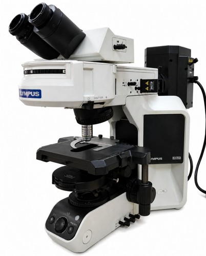 Olympus bx53f fluorescence - olympus,