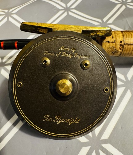 Hardy golden flyweight - ‘golden, flyweight’