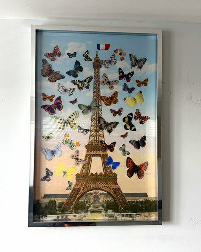 Peter blake lenticular medium - blake,