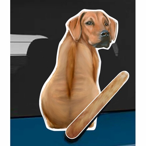 Rhodesian ridgeback rear - rhodesian, car