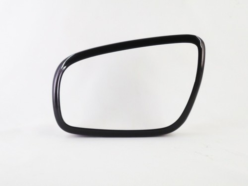Oem mirror theft protector - oem,