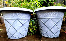 PAIR 2  XXL LARGE 46CM