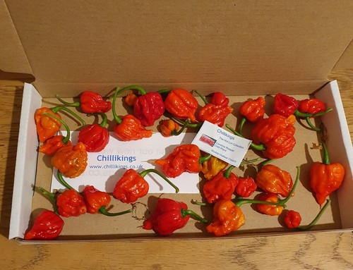 50g fresh small carolina - 50g, fresh,