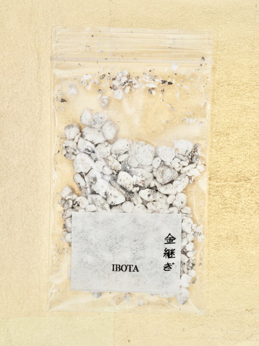 Ibota insect - ibota-ro,