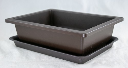 Rectangular plastic bonsai - rectangular,