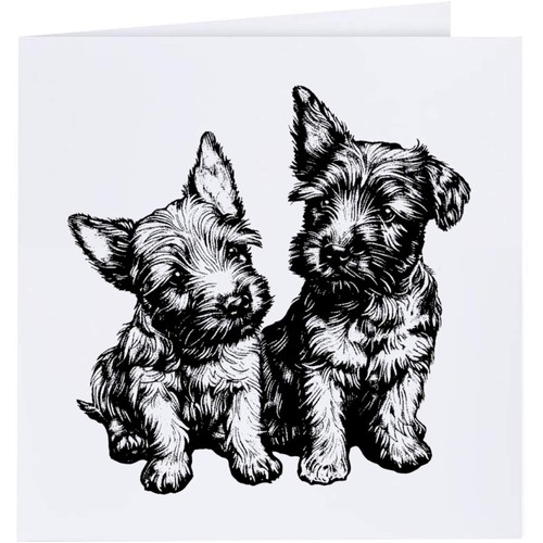 Scottish terrier puppies - 'scottish, puppies'