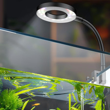 6 W LED Aquarium Light for 1