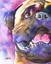 Bullmastiff High Resolution