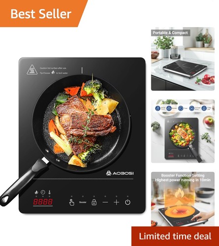 Compact induction cooker - compact,