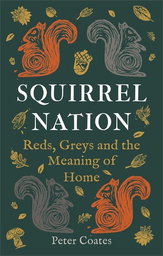 Squirrel nation reds - squirrel, greys