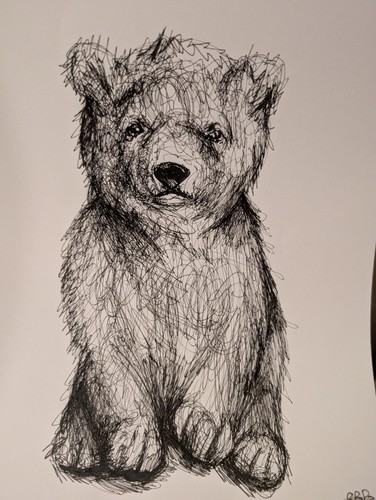 Polar bear cub - bear, sketch