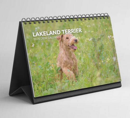 Lakeland terrier desk calendar - terrier,