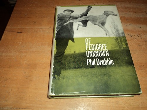 Of pedigree unknown - @@@,