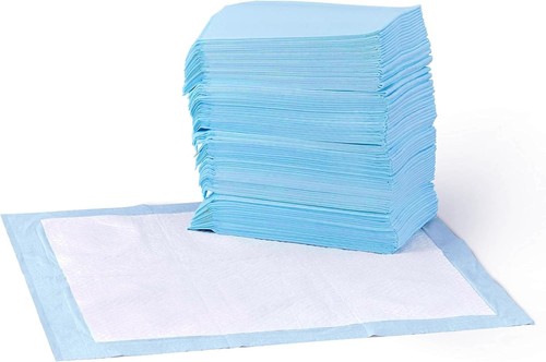 Dog and puppy - puppy, pads