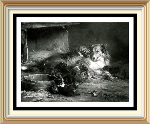 7x5 wall art robert alexander - wall,