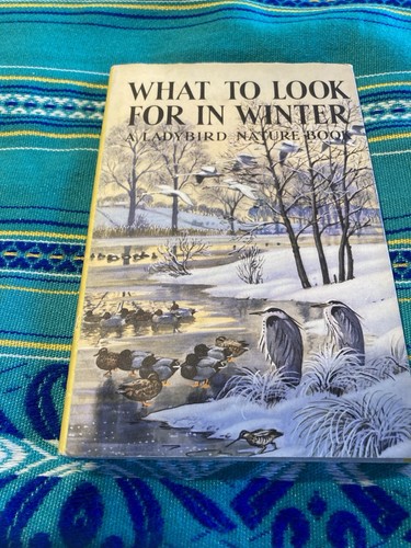Lovely first edition copy - lovely,