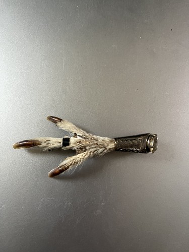 Scottish grouse foot - scottish,