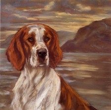 WELSH SPRINGER SPANIEL WSS DOG