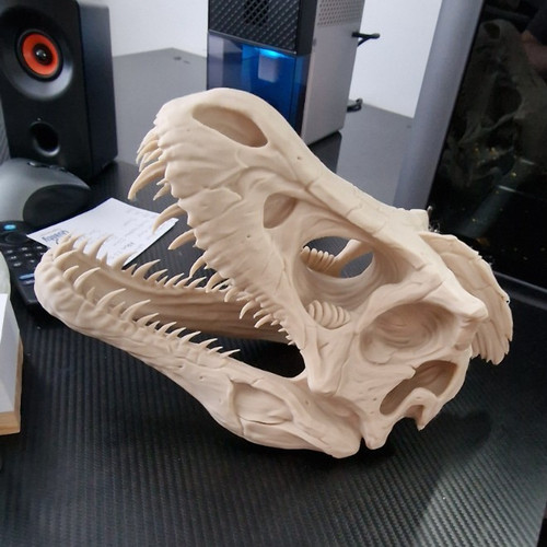Dinosaur skull freestanding - skull,
