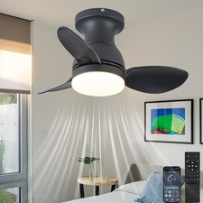 Ceiling Fan with Lights and