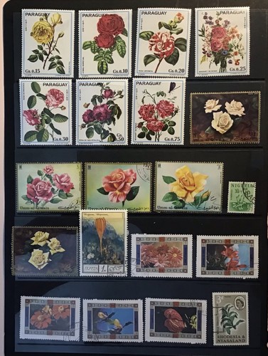 Flowers thematic stamps light - stamps,