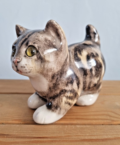 Winstanley tabby kitten - winstanley,