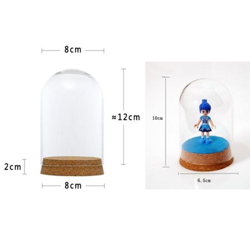 8x12 5x10cm glass dome cover - 8x12&6.5x10cm,