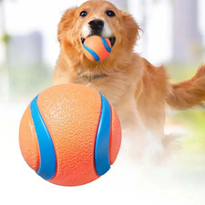 Pack of 1 Rubber Dog Balls /