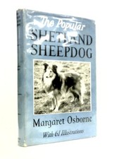 The Popular Shetland Sheepdog