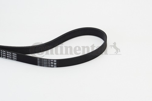 Continental ctam 6pk1642 - continental,