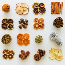 Christmas dried fruits cones and decor