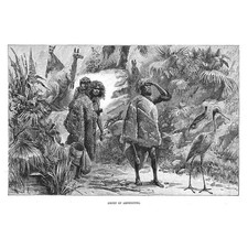 AUSTRALIA A Group of Aborigines - Antique Print 1886