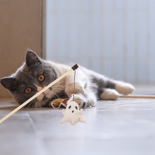 Pcs portable kitten toy - pcs,