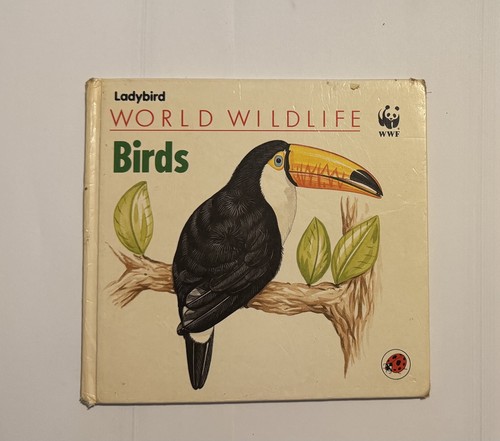 Ladybird square format 1st - ladybird,