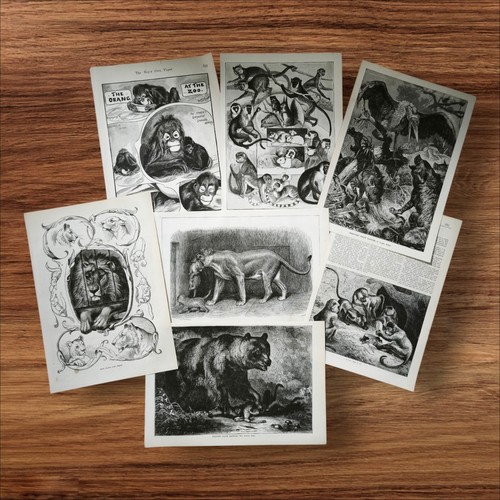 Set antique 1880s - set, victorian