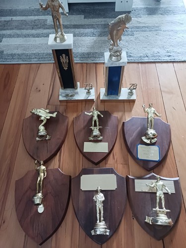 Fishing trophy award - award, 8