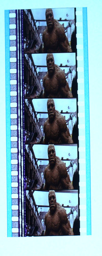 Strip 35mm film - 35mm, cells